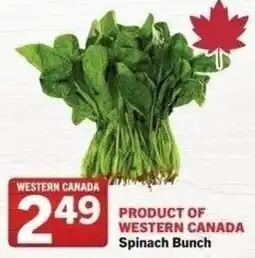 IGA Spinach bunch offer