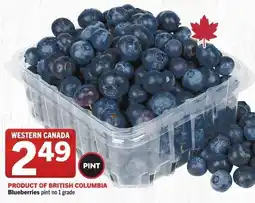 IGA Blueberries offer