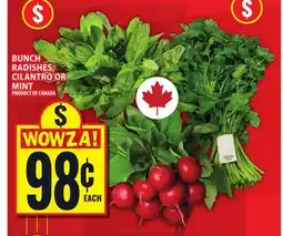 Food Basics BUNCH RADISHES, CILANTRO OR MINT offer