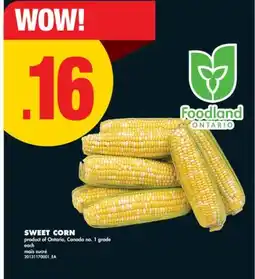 No Frills SWEET CORN offer