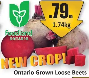 Starsky Ontario Grown Loose Beets offer
