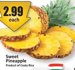 Starsky Sweet Pineapple offer