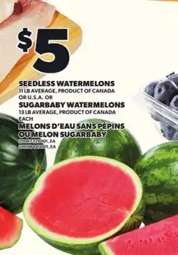 Independent City Market MELONS D'EAU SANS PÉPINS, 11 LB AVERAGE OU MELON SUGARBABY, 13 LB AVERAGE offer