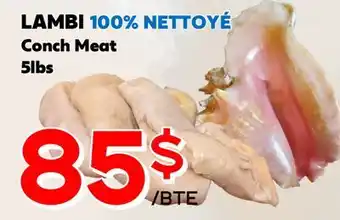 Marche Salaberry LAMBI 100% NETTOYÉ offer