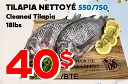 Marche Salaberry TILAPIA NETTOYÉ offer
