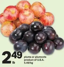 Shop Easy Foods Plums or plumcots offer