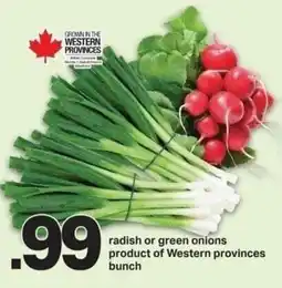 Shop Easy Foods Radish or green onions offer