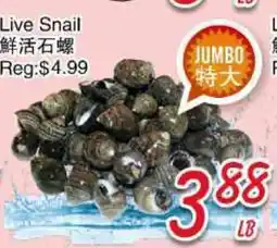 Foody Mart Live Snail offer