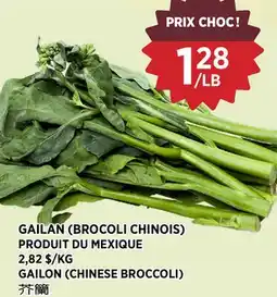 Kim Phat GAILON (CHINESE BROCCOLI) offer