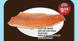 Kim Phat FRESH STEELHEAD FILLET offer