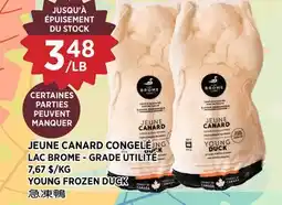 Kim Phat LAC BROME YOUNG FROZEN DUCK offer
