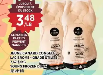 Kim Phat LAC BROME YOUNG FROZEN DUCK offer