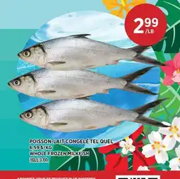 Kim Phat WHOLE FROZEN MILKFISH offer