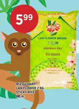 Kim Phat LAN FLOWER STICKY RICE offer