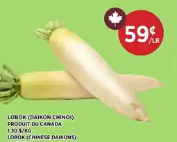 Kim Phat LOBOK (CHINESE DAIKONS) offer