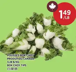 Kim Phat BOK CHOY TIPS offer