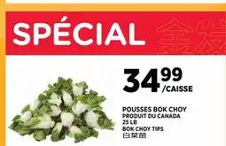 Kim Phat BOK CHOY TIPS offer