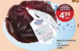 Kim Phat LIVE MUSSELS offer