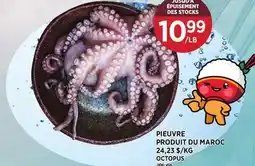 Kim Phat OCTOPUS offer
