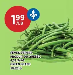 Kim Phat GREEN BEANS offer