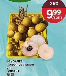 Kim Phat LONGANS offer