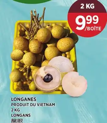 Kim Phat LONGANS offer