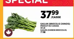 Kim Phat GAILON (CHINESE BROCCOLIS) offer