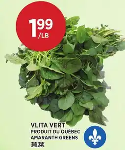 Kim Phat AMARANTH GREENS offer