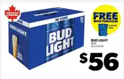 BUD LIGHT