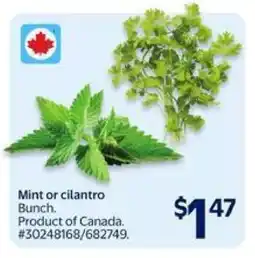 Walmart Mint or Cilantro offer