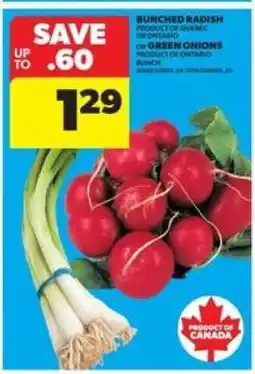 Real Canadian Superstore BUNCHED RADISH or GREEN ONIONS offer