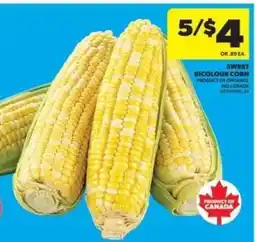 Real Canadian Superstore Sweet bicolour corn offer
