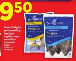 Maxi SeaQuest Tilapia or Pompano offer