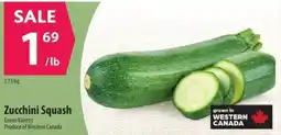 Co-op Zucchini Squash offer