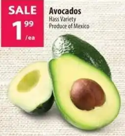 Co-op Avocados offer