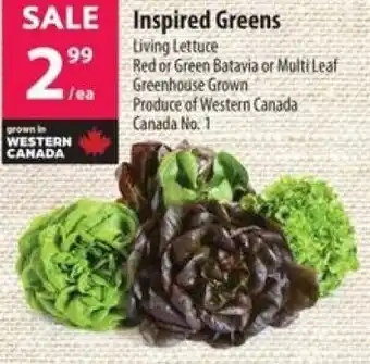 Co-op Inspired Greens offer