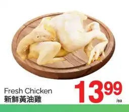 T&T Supermarket FRESH CHICKEN offer