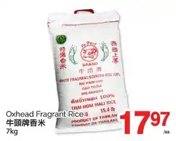 T&T Supermarket OXHEAD FRAGRANT RICE, 7kg offer