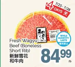 T&T Supermarket FRESH WAGYU LASTS BEEF (BONELESS SHORT RIB) offer