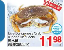 T&T Supermarket LIVE DUNGENESS CRAB offer