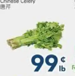 Oceans Fresh Food Market Chinese Celery offer