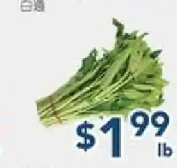 Oceans Fresh Food Market White Ton Choy offer