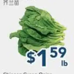 Oceans Fresh Food Market Baby Gai Lan offer
