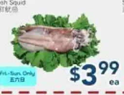 Oceans Fresh Food Market Fresh Squid offer