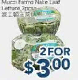 Oceans Fresh Food Market Mucci Farms Nake Leaf Lettuce offer