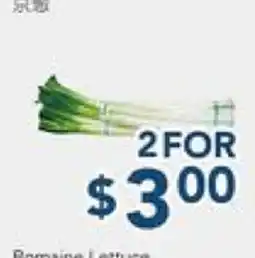 Oceans Fresh Food Market Chinese Green Onion offer
