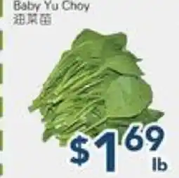 Oceans Fresh Food Market Baby Yu Choy offer