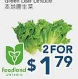 Oceans Fresh Food Market Green Leaf Lettuce offer