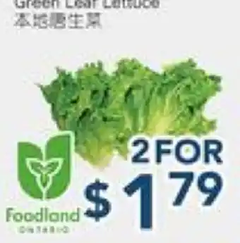 Oceans Fresh Food Market Green Leaf Lettuce offer