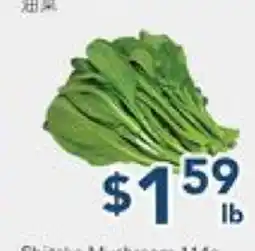 Oceans Fresh Food Market Yu Choy offer